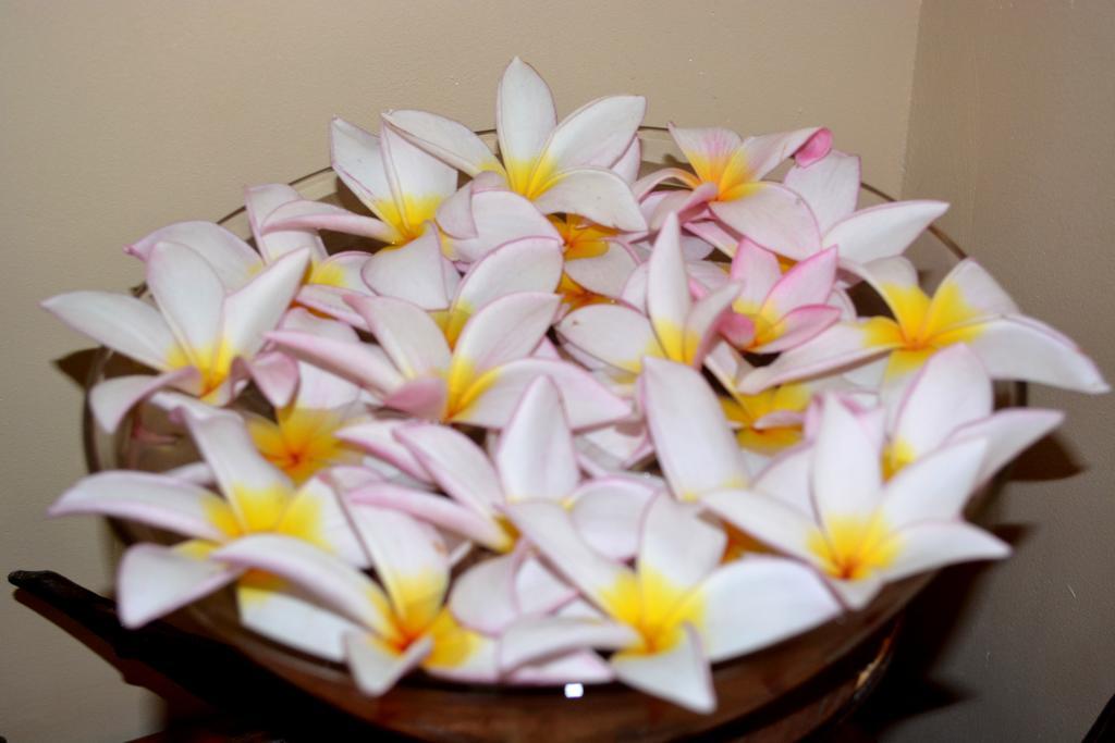 Skai Lodge มาเล ภายนอก รูปภาพ